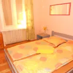 Zodiakus Hostel